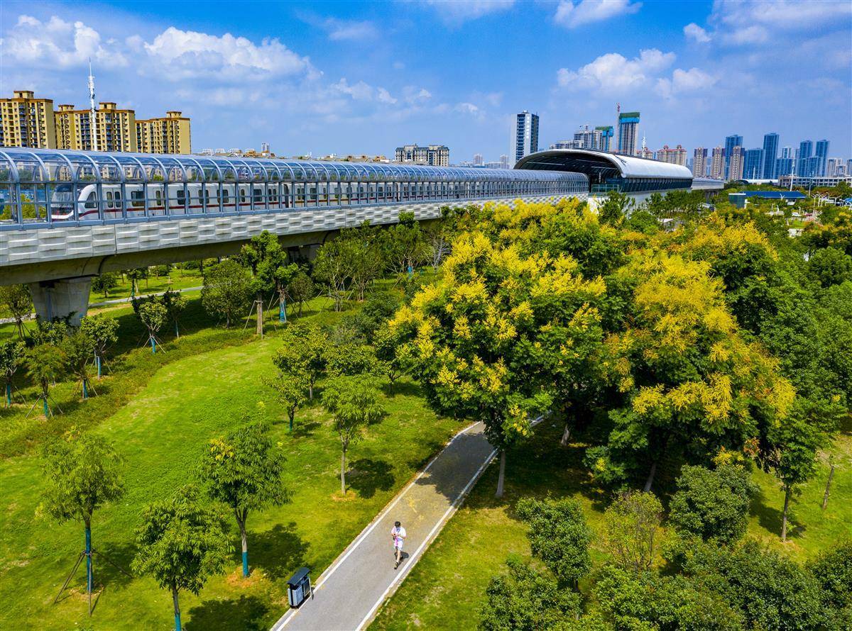 九线拉王游戏下载